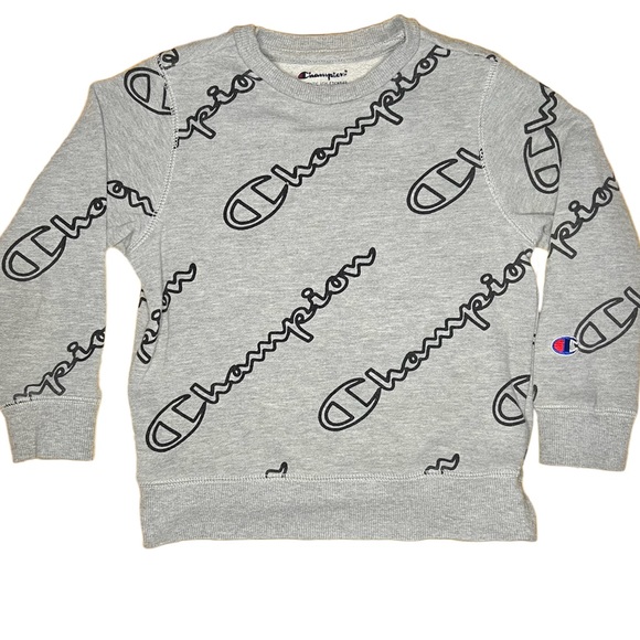 Champion Boys Size 5 Gray Pullover Sweater Champion Gray sweater - Picture 1 of 8